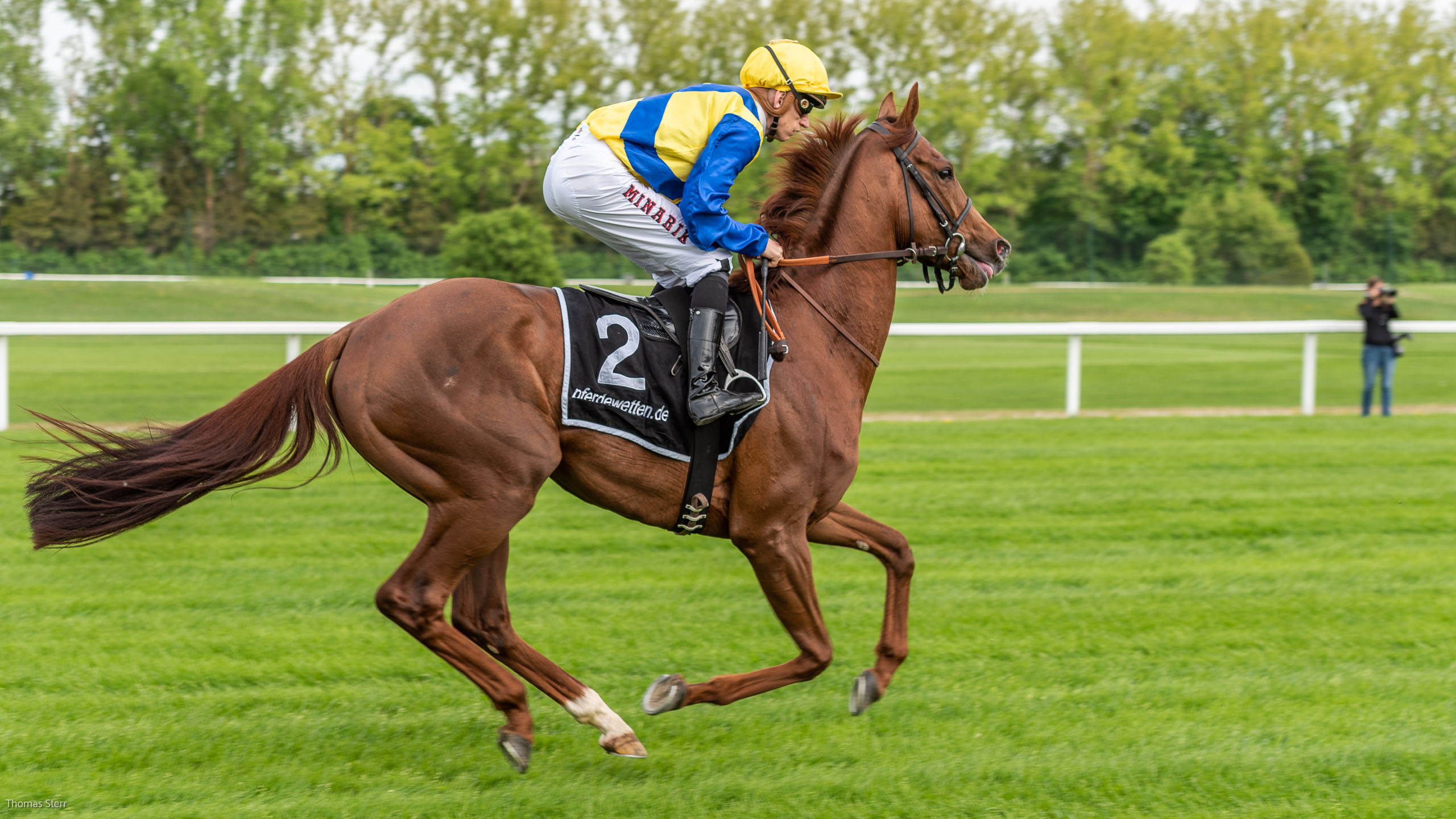 Galopprennen München Riem Mai 2018